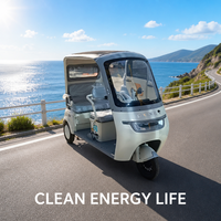 Tricycle électrique à batterie au plomb à prix abordable pour adultes, type ouvert, moto à 3 roues avec auvent