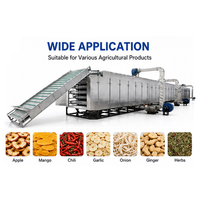 Hoge kwaliteit dehydrator machine fruittransportband hetelucht zeevist droogmachine groente voor gaasbanddroger