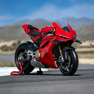 Guardabarros Delantero de Fibra de Carbono para Ducati Panigale V4 V4S 2019-2025 - Product Image 3
