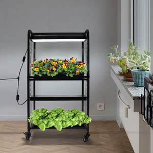 Kit de démarrage de semis avec éclairage LED complet, système de plateau de culture intérieur pour la croissance des plantes, hauteur réglable, roues mobiles - Product Image 1
