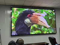 Layar LED 4K Indoor dengan Kecerahan 500cd Garansi 1 Tahun Adobe RGB 98% HDR HLG Pemasangan di Dinding