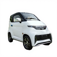 Yunlong Motors L6e EEC aprobado 4 ruedas coche eléctrico cabina Scooter para adultos Mini coche para adultos hecho en China