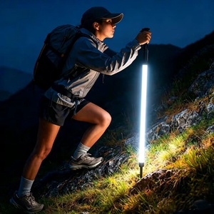 Bastones <span class=keywords><strong>de</strong></span> Senderismo Recargables Ultrabrillantes con Luz, Bastones <span class=keywords><strong>de</strong></span> Trekking Ligeros para Senderismo al Aire Libre, Camping, Caminatas Nocturnas, Luz Blanca - Product Image 1