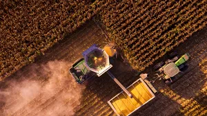 100% Organique Naturel Revivre Engrais Végétal Marque Privée Cultures De Jardin Aide À La Récolte Augmentation Du Rendement Des Cultures Poudre - Product Image 2