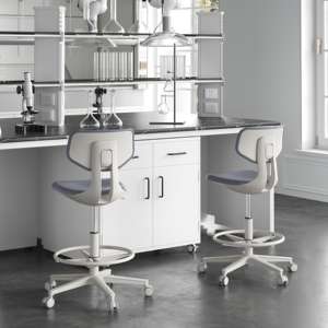 Silla de Laboratorio Giratoria, Ergonómica, Antiestática, para Ciencias, Medicina, Odontología, Laboratorio Químico, Banco de Trabajo, Computadora, Segura para ESD - Product Image 1