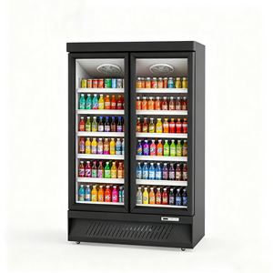 <span class=keywords><strong>Réfrigérateur</strong></span>-congélateur vertical commercial de qualité supérieure pour boissons, avec porte vitrée et refroidissement par ventilateur, idéal pour les boutiques et les supermarchés (R290) - Product Image 2