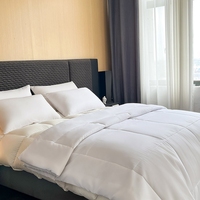 Ensemble de couette moderne en microfibre garnie de polyester, 1 pièce, blanc, couette d'hôtel pour lit plat avec motif tissé, écologique, pour usage domestique