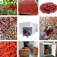 Elektrische KINKAI Hoge Efficiëntie Continue Mesh Belt Groente- en Fruitdroogmachine (3,2-15,6 kW 20 kg/u capaciteit PLC-gestuurd CE-gecertificeerd)
