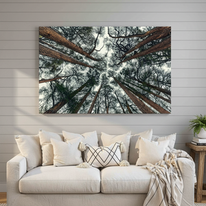 Printed Canvas Art: Tree Canopy, Farmhouse Decor, Minimalist Design,<b>WRAPPED</b> CANVAS - Product Image 3