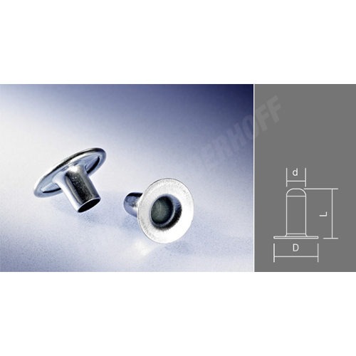 Aluminium Hollow Rivet Cap Flat Head Type Galvanized with Plating Technics Part Number 05.1012.01