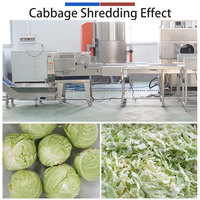 FTS-168 Automatische Groente- en Fruit Snijmachine 380V Motor PLC Besturing voor Salade Sla Komkommer Bloemmolen Gebruik