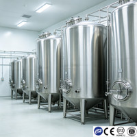 Reactor de Enzimas con Revestimiento SS316L, Tanque Sanitario de 100L, Estándar ASME, Precio de Fábrica