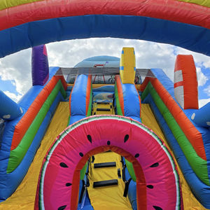 Tobogán Acuático Inflable Comercial, Tobogán Popular de la <span class=keywords><strong>Costa</strong></span> <span class=keywords><strong>Tropical</strong></span>, Castillo Inflable con Piscina, Tobogán Inflable Gigante con Forma de Arcoíris - Product Image 4