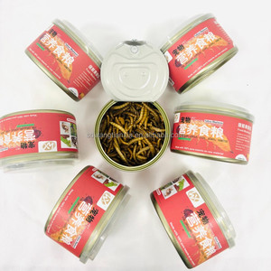 หนอนนกอบแห้งเกรดพรีเมียม อาหารสัตว์เลื้อยคลานโปรตีนสูง สำหรับกิ้งก่า เต่า อาหารปลากระป๋องเสริมคุณค่าทางโภชนาการ - Product Image 2