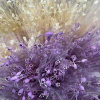 Décoration de Noël et de Thanksgiving en gros tout-en-un : Fleurs séchées naturelles immortelles, coquelicot et fleurs de clochettes préservées
