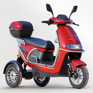 Scooter Quater-1 de 1000w con 4 Ruedas Grandes y Homologación EEC para Personas Mayores 1. Sistema de Gestión de Carga de Tres Ruedas (motor y controlador) de 800w - Product Image 5