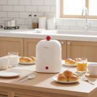 Cuiseur à œufs électrique monocouche, mini-appareil vapeur multifonctionnel et silencieux en plastique pour le petit-déjeuner