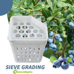 Cueilleur de bleuets en plastique pour le fabricant - Product Image 4