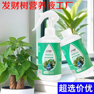 Solución nutritiva JYNB Money Tree 330ml Fertilizante líquido para plantas de interior - Product Image 5