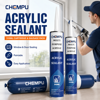 Mastic acrylique commercial 300 ml pour le remplissage des joints, faible rétrécissement, facile à utiliser, mastic acrylique pour les coins des cadres, mastic acrylique pratique