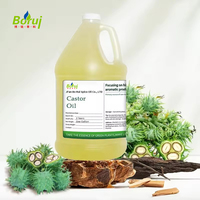 Huile de ricin 100 % naturelle, pure, biologique, pressée à froid, de bonne qualité, huile de base pour la croissance des cheveux et les soins de la peau, 1 kg en vrac, OEM/ODM