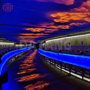 Hd Led Dynamic Indoor-outdoor Projection Lamp Custom Design Special Effect Pattern <b>Light</b> Ip65 Waterproof Advertising <b>Lights</b> - Product Image 6