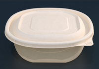 Boîte à lunch biodégradable moderne 176x176x62mm 800ml avec couvercle jetable, anti-écrasement, sécurisée pour le froid, pour la cuisine