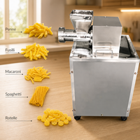 Extrudeuse à vis simple pour la fabrication de macaroni, de petits fusilli, de rigatoni et de pâtes – Qualité supérieure