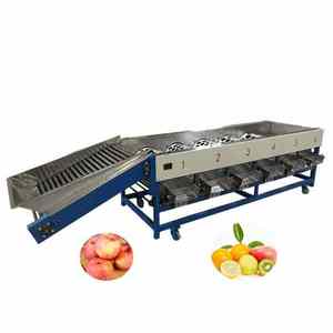 Máquina Clasificadora de Bulbos de Ajo Profesional, Clasificadora de Aguacates, Clasificadora de Mangos por Tamaño - Product Image 1