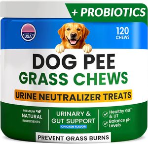 天然狗尿草咀嚼益生菌尿液中和剂用于草坪治疗UT肠道健康防止尿液烧伤宠物补充剂 - Product Image 6