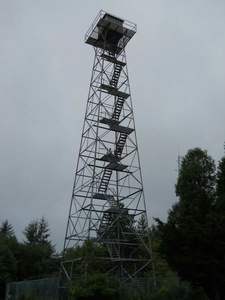 <span class=keywords><strong>Tour</strong></span> de surveillance My-Size avec échelle, inspirée de l'acier et de l'acier cornière, galvanisée à chaud, durée de vie de 20 à 50 ans - Product Image 6