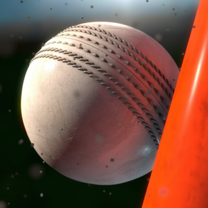 Ballon de cricket rigide haute performance 110g avec logo personnalisé, couleurs personnalisées, options de matériaux et d'emballage personnalisés disponibles - Product Image 1