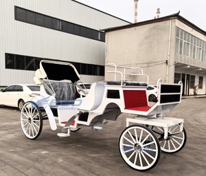 Carruaje de Boda Clásico Estilo Princesa Cenicienta, Modelo 2026, Económico y Superventas, Carruaje Eléctrico Turístico en Venta - Product Image 3