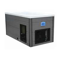 American Acrylic Ice Bath Spa Compressor Chiller <strong>Hot</strong> and Cold Athlete Massage <strong>Tub</strong> for Hotel Outdoor Bedroom Cold Plugne