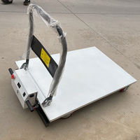 Carretilla Elevadora Eléctrica Plegable con Carga/Descarga Automática, Capacidad de Carga de 300 kg, Construcción Metálica, OEM Disponible