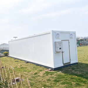 Customized Mushroom Growing Container House for Commercial Shiitake Oyster Mushroom Farm Cultivation - Product Image 2