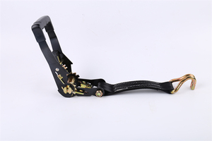 卡车用<span class=keywords><strong>2</strong></span>英寸塑料手柄棘轮系紧带易于运输的软环货物绑扎聚酯背带带挂钩 - Product Image 4