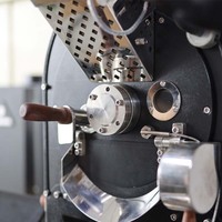 Machine à torréfier le café la plus populaire, en acier inoxydable, à écran tactile, entièrement automatique, contrôlée par application, pour usage domestique/commercial
