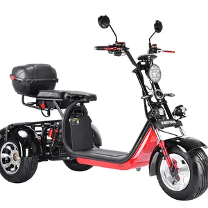 Batteria al litio rimovibile certificata eec adulti 3 ruote Scooter elettrico Citycoco moto EU magazzino