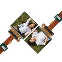 Ls029b3sx02 VR đầu gắn 1440x1440 2K 120Hz 2.9 inch TFT 2.89 inch màn hình kép - Product Image 3