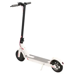 Складной электрический скейтборд для взрослых, 36 В, 8,5 А, 2 мотора, литиевая батарея, двойной привод
