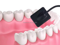 Système d'imagerie dentaire numérique, capteur d'imagerie RVG intra-oral USB 12-14 LP/MM, capteur de radiographie dentaire numérique