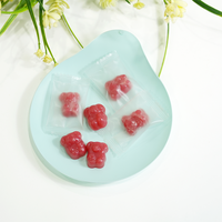 Bonbons Gélifiés à l'Extrait Végétal pour Hommes, Complément Herbal à Faible MOQ, Soutien Quotidien à la Vitalité