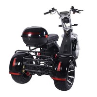 Vente en gros de tricycles électriques pour adultes DomeRide, batterie au lithium 60V, moteur sans balais 2000W, 300 kg, pliable, étanche, commande numérique