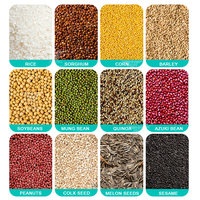Séchoir à grains de maïs agricole 20 tonnes par jour Mini séchoir à grains vertical Séchoir à grains de riz