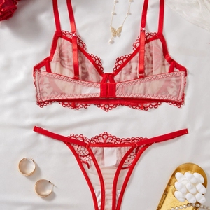 Conjunto de Lencería Íntima Transparente en Negro y Rojo, Conjunto de 2 Piezas, Lencería Sexy de Encaje con Bordado de Malla - Product Image 2