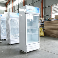 Réfrigérateur de présentation vertical haut de gamme avec porte vitrée, personnalisable avec logo, pour magasin de proximité
