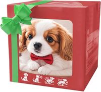 2026 Neue Bunte Geschenkbox-Verpackung Roboterhund Welpen Realistische Roboter-Hunde für Erwachsene und Kinder Geschenk