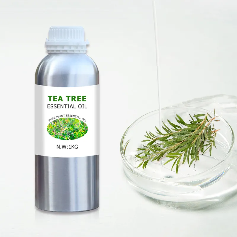 Proveedor de crecimiento del cabello, Base de perfumería, vela esencial para hacer jabón, aceites esenciales de árbol de té a granel, aceite de aromaterapia para el cuidado de la piel