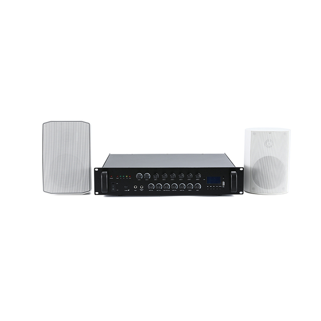 40 Watts Wall Factory High Quality Pa System in Wall Music System Mount Speakers